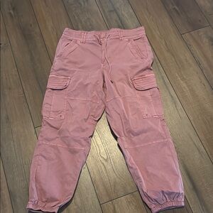 American Eagle Outfitters Dusty Rose Cargo Pants 16